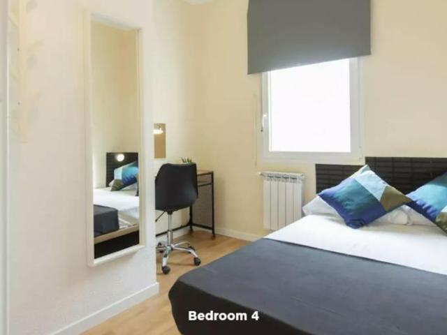 Alquiler 1 Dormitorio Shared Living/Roommate Madrid Madrid DS102816748