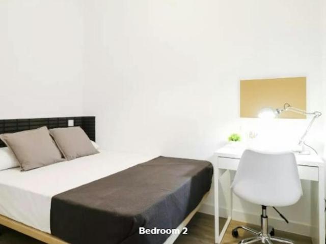 Alquiler 1 Dormitorio Shared Living/Roommate Madrid Madrid DS102816989