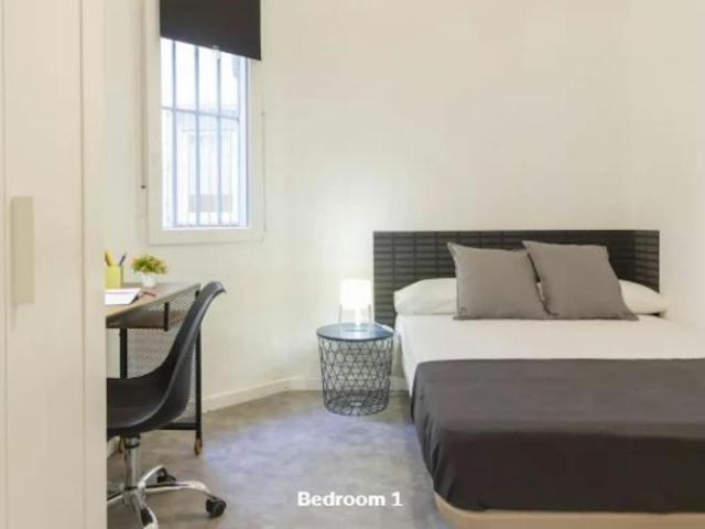 Alquiler 1 Dormitorio Shared Living/Roommate Madrid Madrid DS102816998