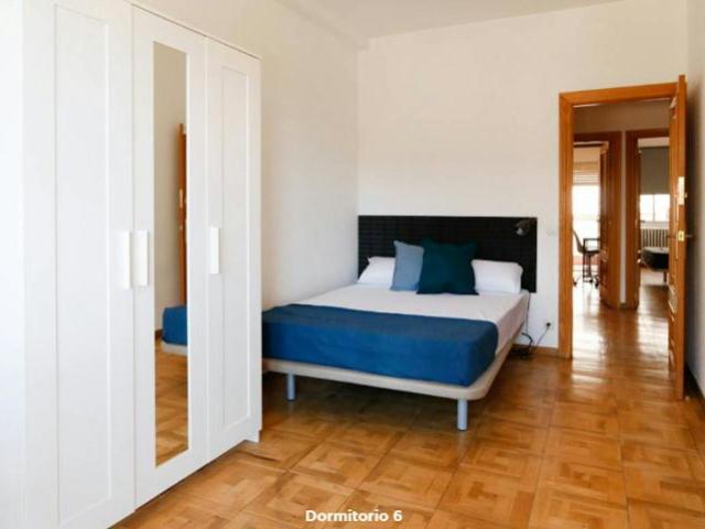 Alquiler 1 Dormitorio Shared Living/Roommate Madrid Madrid DS102817043