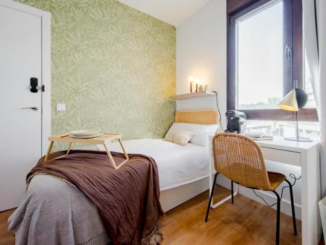 Alquiler 1 Dormitorio Shared Living/Roommate Madrid Madrid DS102848853