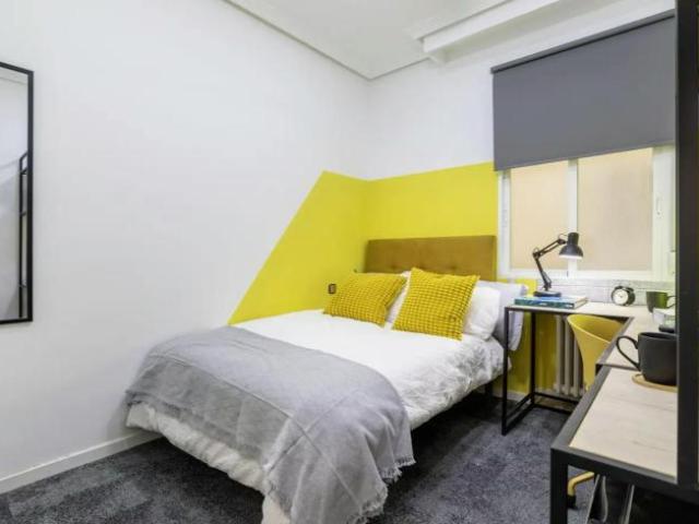 Alquiler 1 Dormitorio Shared Living/Roommate Madrid Madrid DS102848912