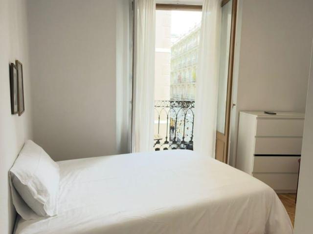Alquiler 1 Dormitorio Shared Living/Roommate Madrid Madrid DS102849665