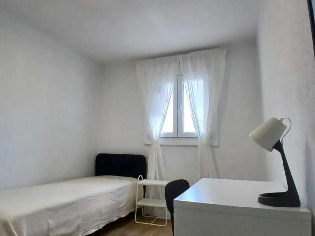Alquiler 1 Dormitorio Shared Living/Roommate Madrid Madrid DS102850806