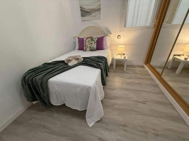 Alquiler 1 Dormitorio Shared Living/Roommate Madrid Madrid DS102850100