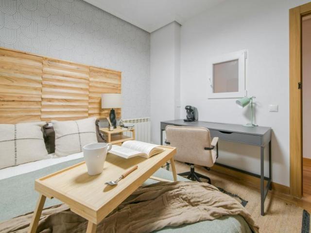 Alquiler 1 Dormitorio Shared Living/Roommate Madrid Madrid DS102851140