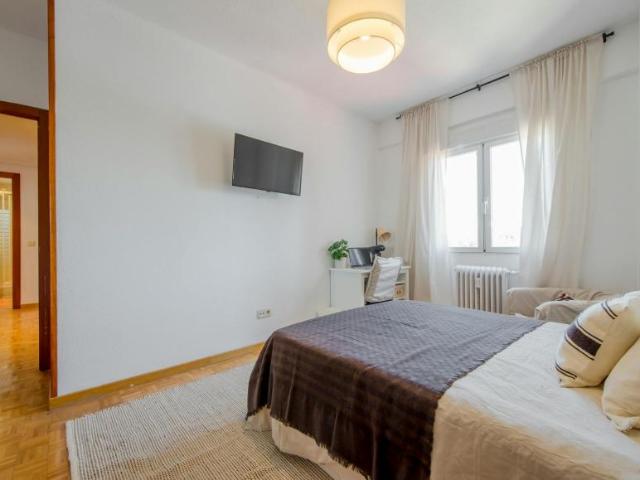 Alquiler 1 Dormitorio Shared Living/Roommate Madrid Madrid DS102852970