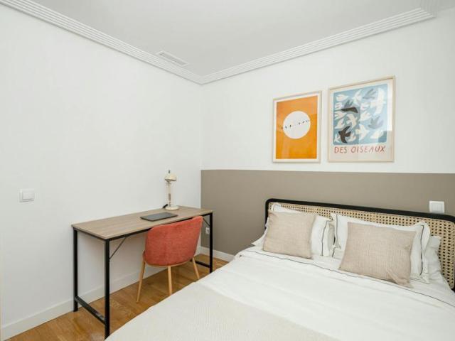 Alquiler 1 Dormitorio Shared Living/Roommate Madrid Madrid DS102852144