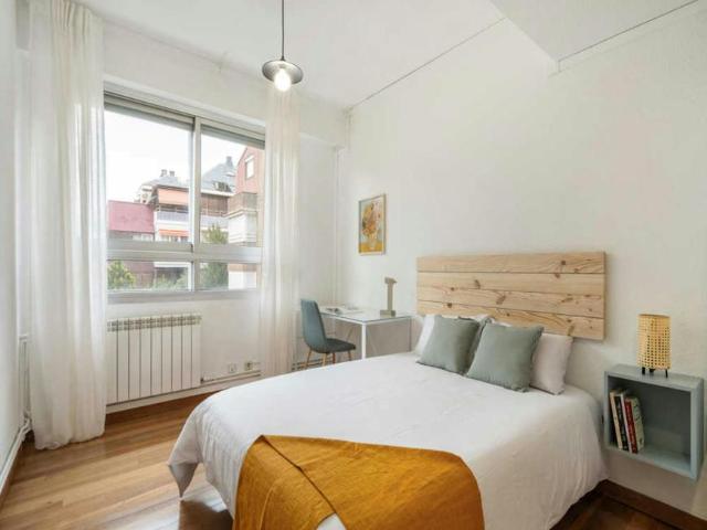 Alquiler 1 Dormitorio Shared Living/Roommate Madrid Madrid DS102853421