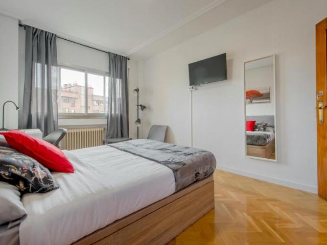 Alquiler 1 Dormitorio Shared Living/Roommate Madrid Madrid DS102853644