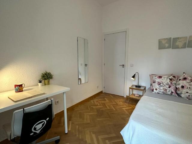 Alquiler 1 Dormitorio Shared Living/Roommate Madrid Madrid DS102853853