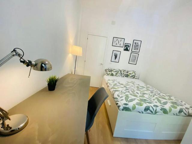 Alquiler 1 Dormitorio Shared Living/Roommate Madrid Madrid DS102853232