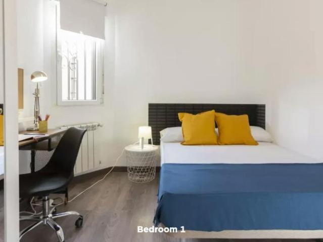 Alquiler 1 Dormitorio Shared Living/Roommate Madrid Madrid DS102854998