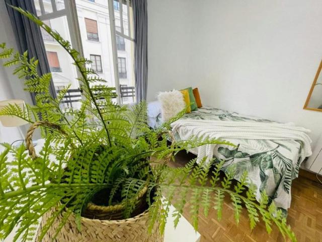 Alquiler 1 Dormitorio Shared Living/Roommate Madrid Madrid DS102854292