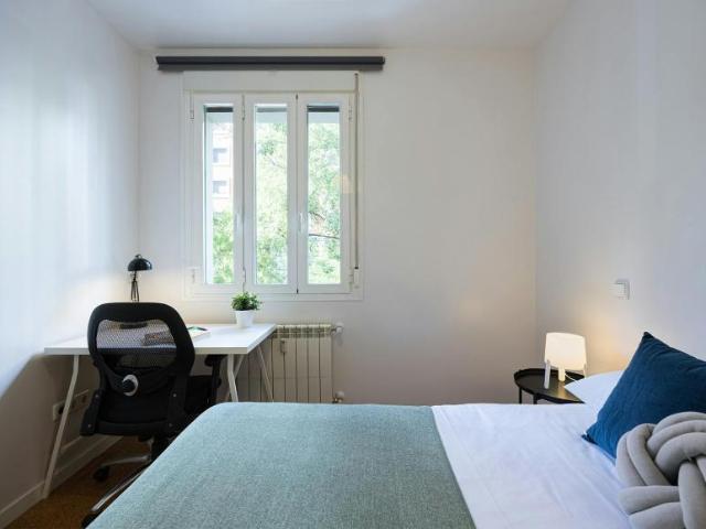 Alquiler 1 Dormitorio Shared Living/Roommate Madrid Madrid DS102855714