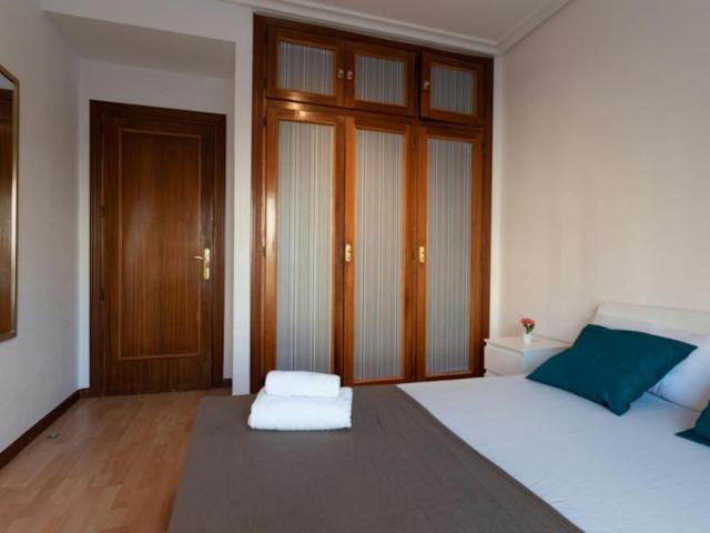 Alquiler 1 Dormitorio Shared Living/Roommate Madrid Madrid DS102855740