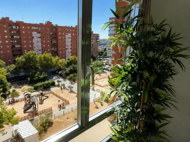 Alquiler 1 Dormitorio Shared Living/Roommate Madrid Madrid DS102916755