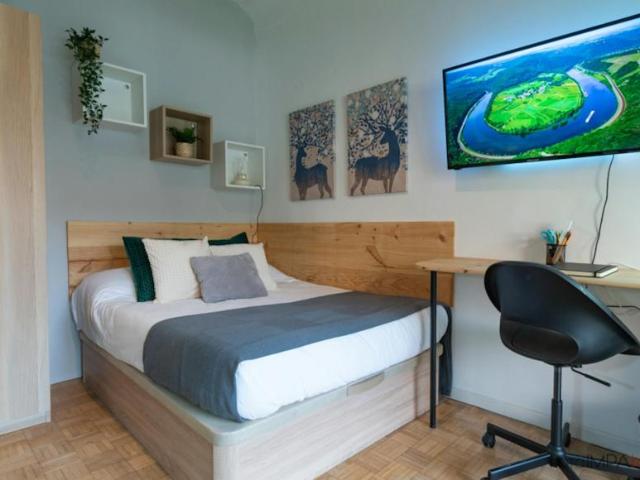 Alquiler 1 Dormitorio Shared Living/Roommate Madrid Madrid DS102917384