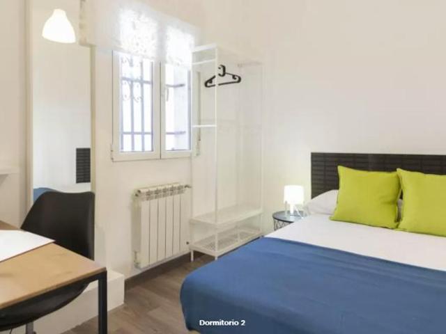 Alquiler 1 Dormitorio Shared Living/Roommate Madrid Madrid DS102340768