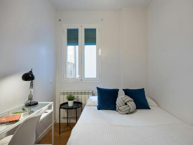 Alquiler 1 Dormitorio Shared Living/Roommate Madrid Madrid DS102340769