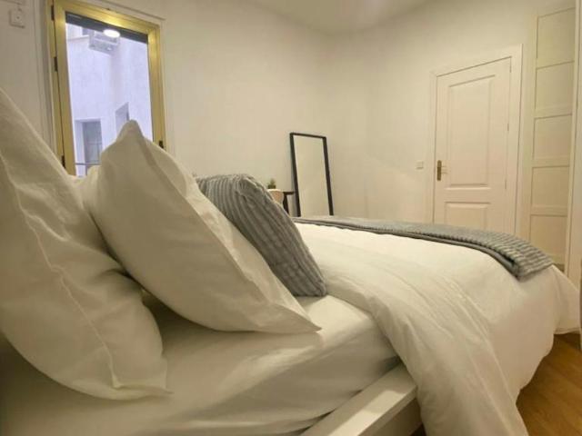 Alquiler 1 Dormitorio Shared Living/Roommate Madrid Madrid DS103543562