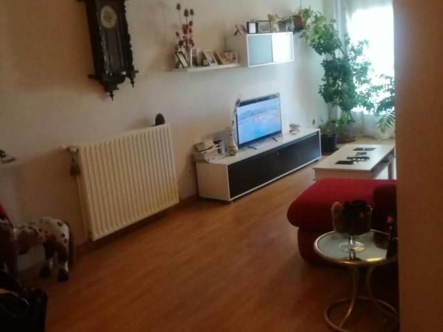 Alquiler 1 Dormitorio Shared Living/Roommate Madrid Madrid DS103031833