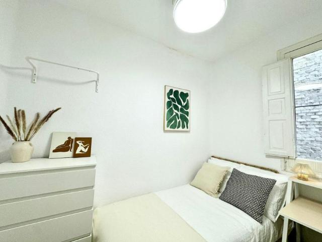 Alquiler 1 Dormitorio Shared Living/Roommate Madrid Madrid DS104599074