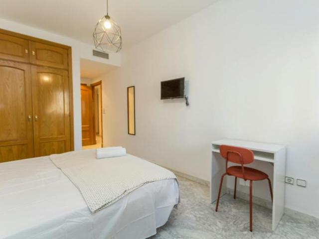 Alquiler 1 Dormitorio Shared Living/Roommate Málaga Málaga DLS100765244