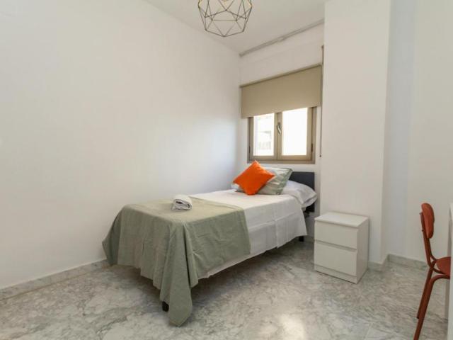 Alquiler 1 Dormitorio Shared Living/Roommate Málaga Málaga DLS100765241