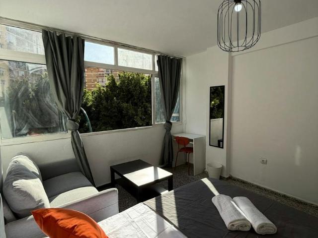 Alquiler 1 Dormitorio Shared Living/Roommate Málaga Málaga DLS100765263