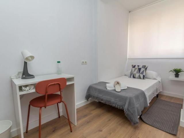Alquiler 1 Dormitorio Shared Living/Roommate Málaga Málaga DLS100765606
