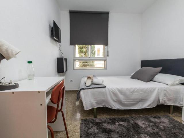 Alquiler 1 Dormitorio Shared Living/Roommate Málaga Málaga DLS100765641