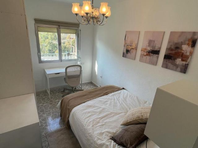 Alquiler 1 Dormitorio Shared Living/Roommate Málaga Málaga DLS101222878