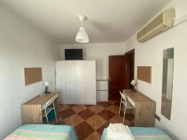 Alquiler 1 Dormitorio Shared Living/Roommate Málaga Málaga DLS101408649