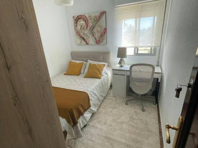 Alquiler 1 Dormitorio Shared Living/Roommate Málaga Málaga DLS101848405
