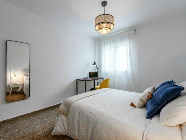 Alquiler 1 Dormitorio Shared Living/Roommate Málaga Málaga DLS101842571