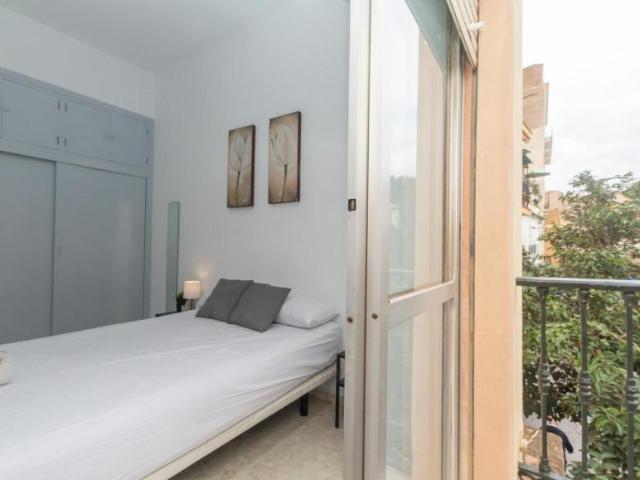 Alquiler 1 Dormitorio Shared Living/Roommate Málaga Málaga DLS101885138