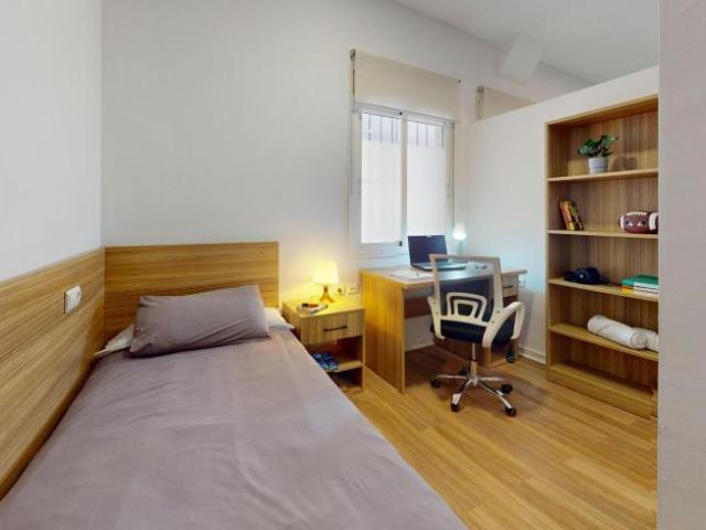 Alquiler 1 Dormitorio Shared Living/Roommate Málaga Málaga DLS102849359