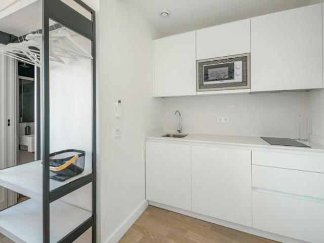 Alquiler 1 Dormitorio Shared Living/Roommate Málaga Málaga DLS102917045