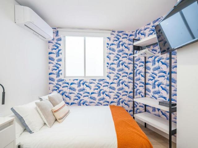 Alquiler 1 Dormitorio Shared Living/Roommate Málaga Málaga DLS90032974