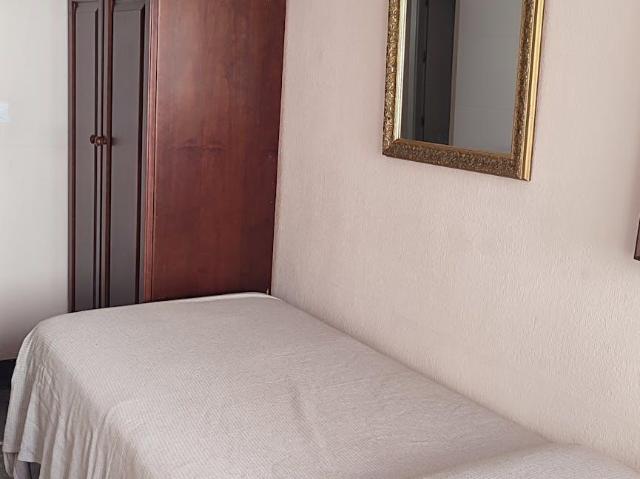 Alquiler 1 Dormitorio Shared Living/Roommate Málaga Málaga DLS98960007