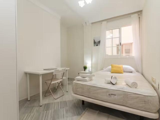 Alquiler 1 Dormitorio Shared Living/Roommate Málaga Málaga DS95949523