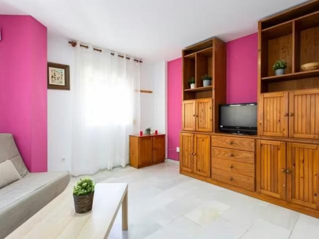 Alquiler 1 Dormitorio Shared Living/Roommate Málaga Málaga DS96346652