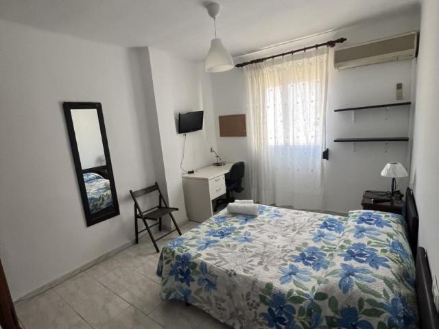 Alquiler 1 Dormitorio Shared Living/Roommate Málaga Málaga DS98608810