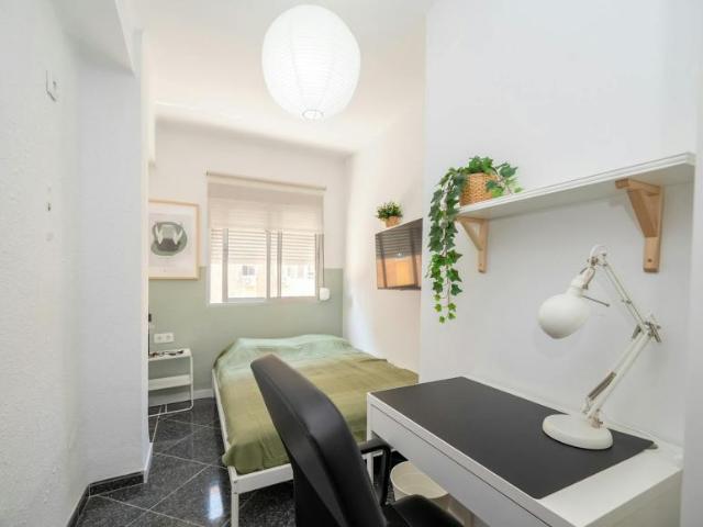 Alquiler 1 Dormitorio Shared Living/Roommate Málaga Málaga DS100715704