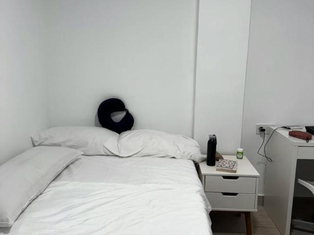 Alquiler 1 Dormitorio Shared Living/Roommate Málaga Málaga DS100718363