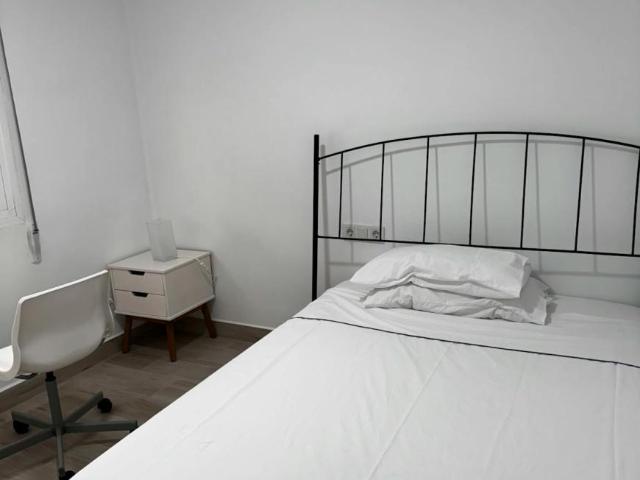 Alquiler 1 Dormitorio Shared Living/Roommate Málaga Málaga DS100720039