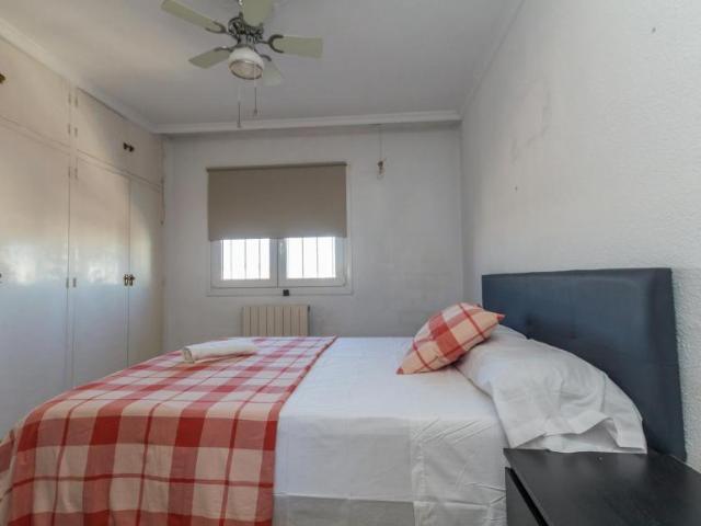 Alquiler 1 Dormitorio Shared Living/Roommate Málaga Málaga DS100765221