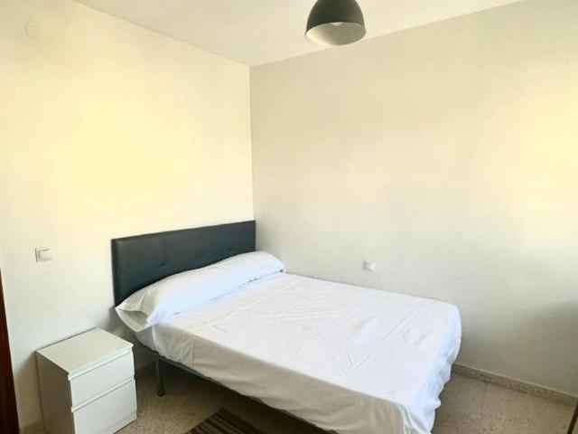 Alquiler 1 Dormitorio Shared Living/Roommate Málaga Málaga DS100765289