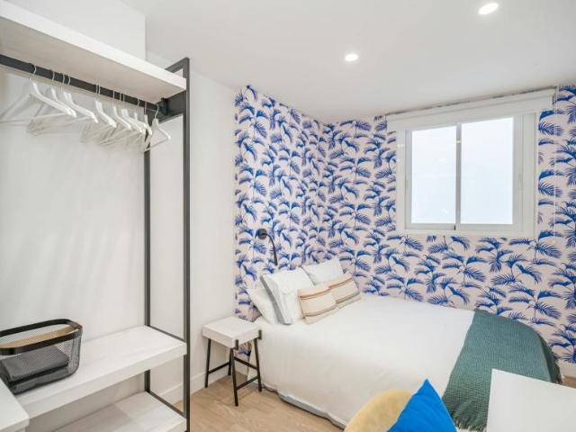 Alquiler 1 Dormitorio Shared Living/Roommate Málaga Málaga DS100812514